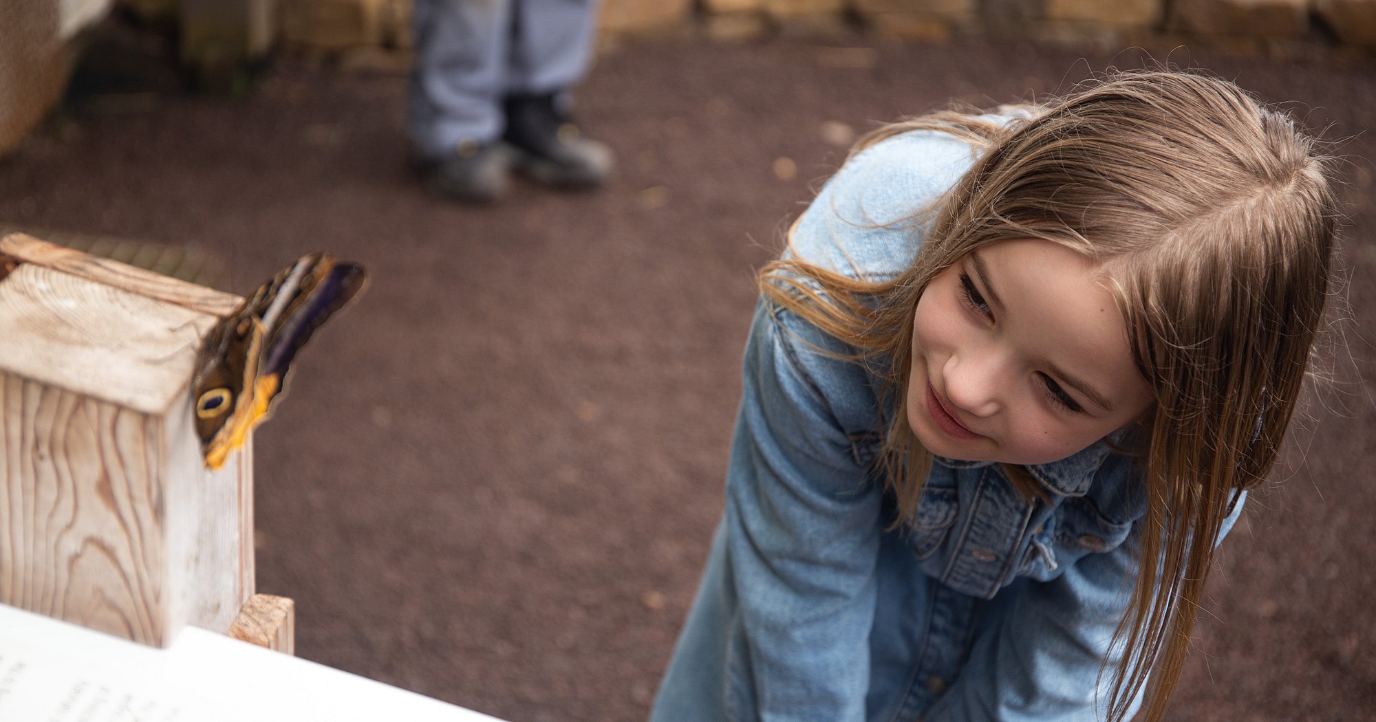 Grevenmacher Butterfly Garden Visit Luxembourg