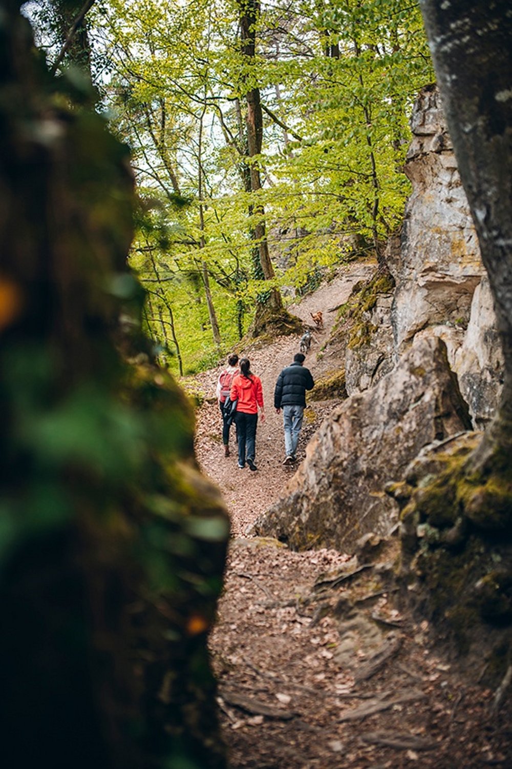 Hikers on guttland.Trail Mamerleeën