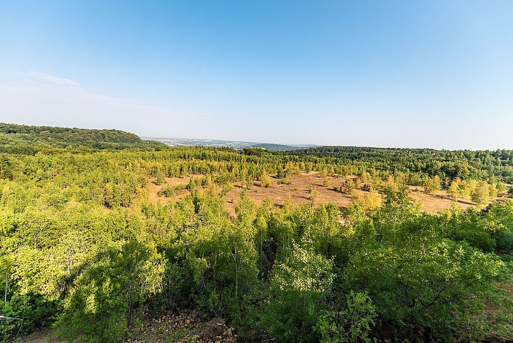 Das frühere Tagebaugebiet bei Pétange/Rodange/Differdange ist heute ein großes Naturschutzgebiet