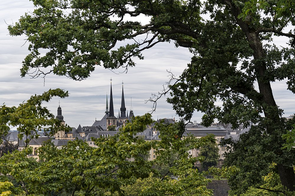 Kathedraal Luxemburg stad