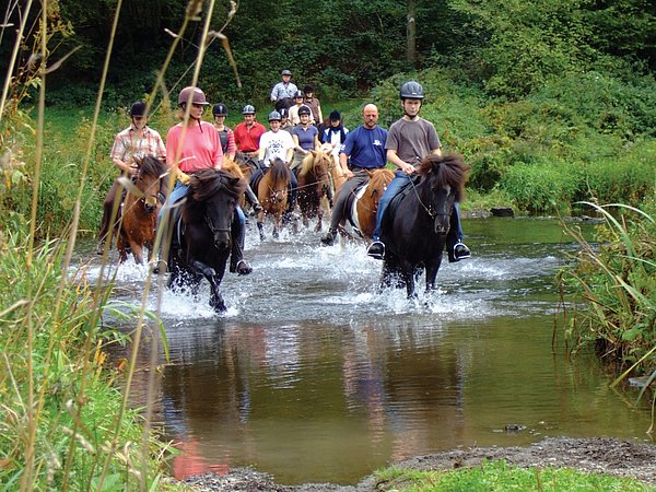 Horse-riding "Parc Naturel de la Haute-Sûre"
