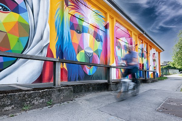 Esch-sur-Alzette Graffiti