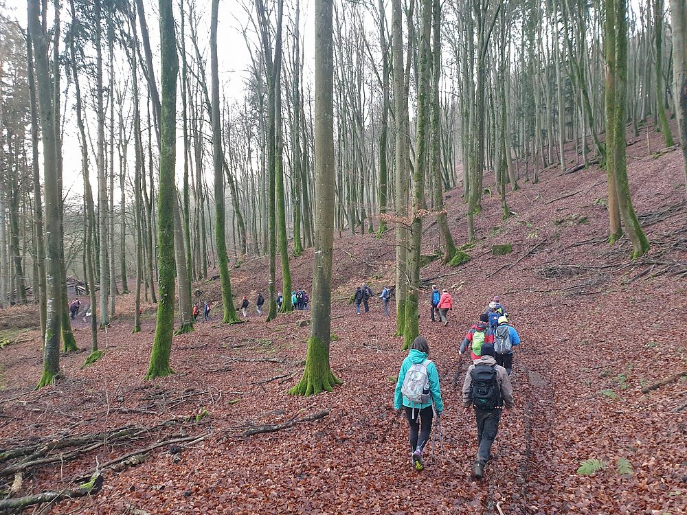 Youth hostels Hiking durch den Wald