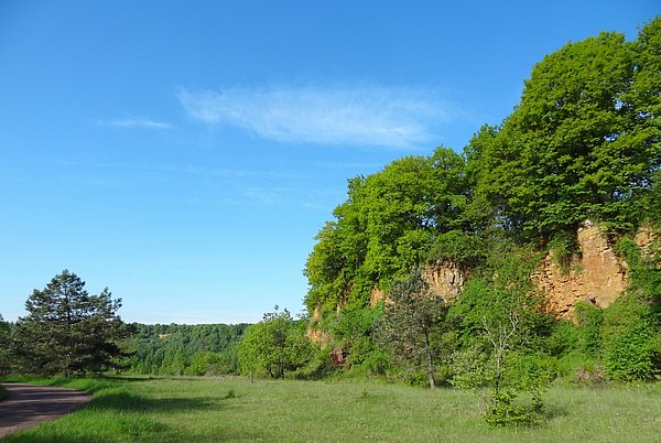 Die früheren Tagebaugebiete des Minett sind heute Naturschutzgebiete