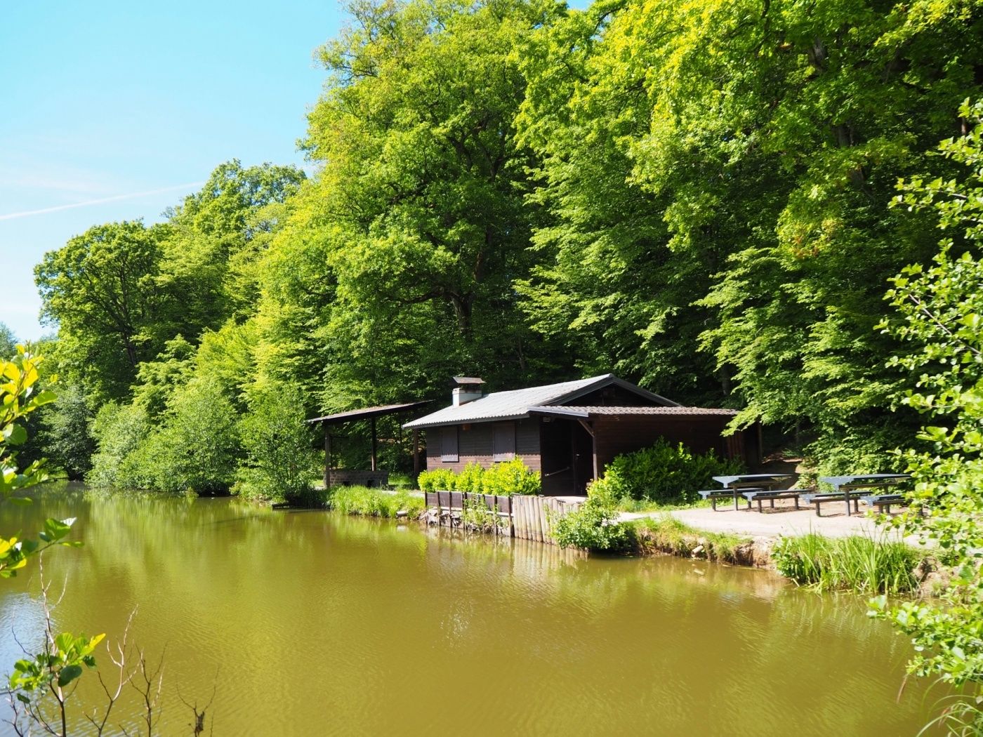 Ein Teil des Weges führt an einem Teich im Wald vorbei.