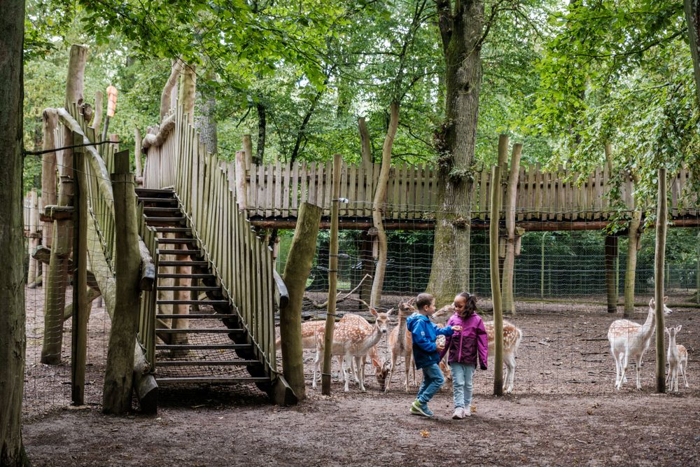Parc Merveilleux
