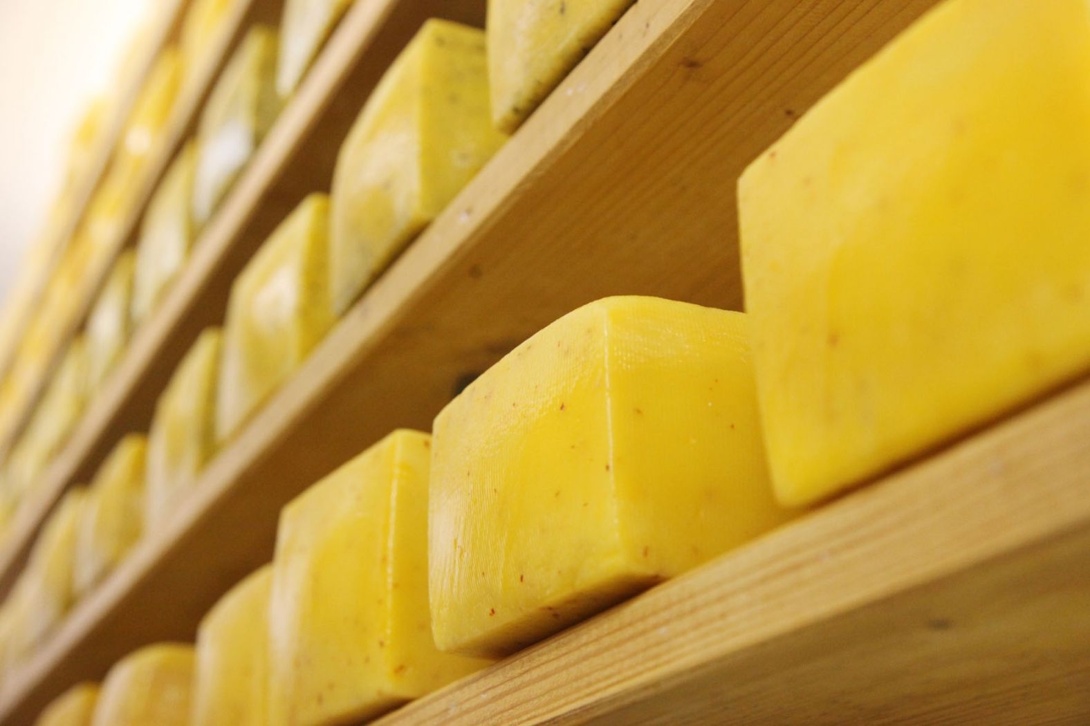 Bio-Haff Baltes Stegen cheese