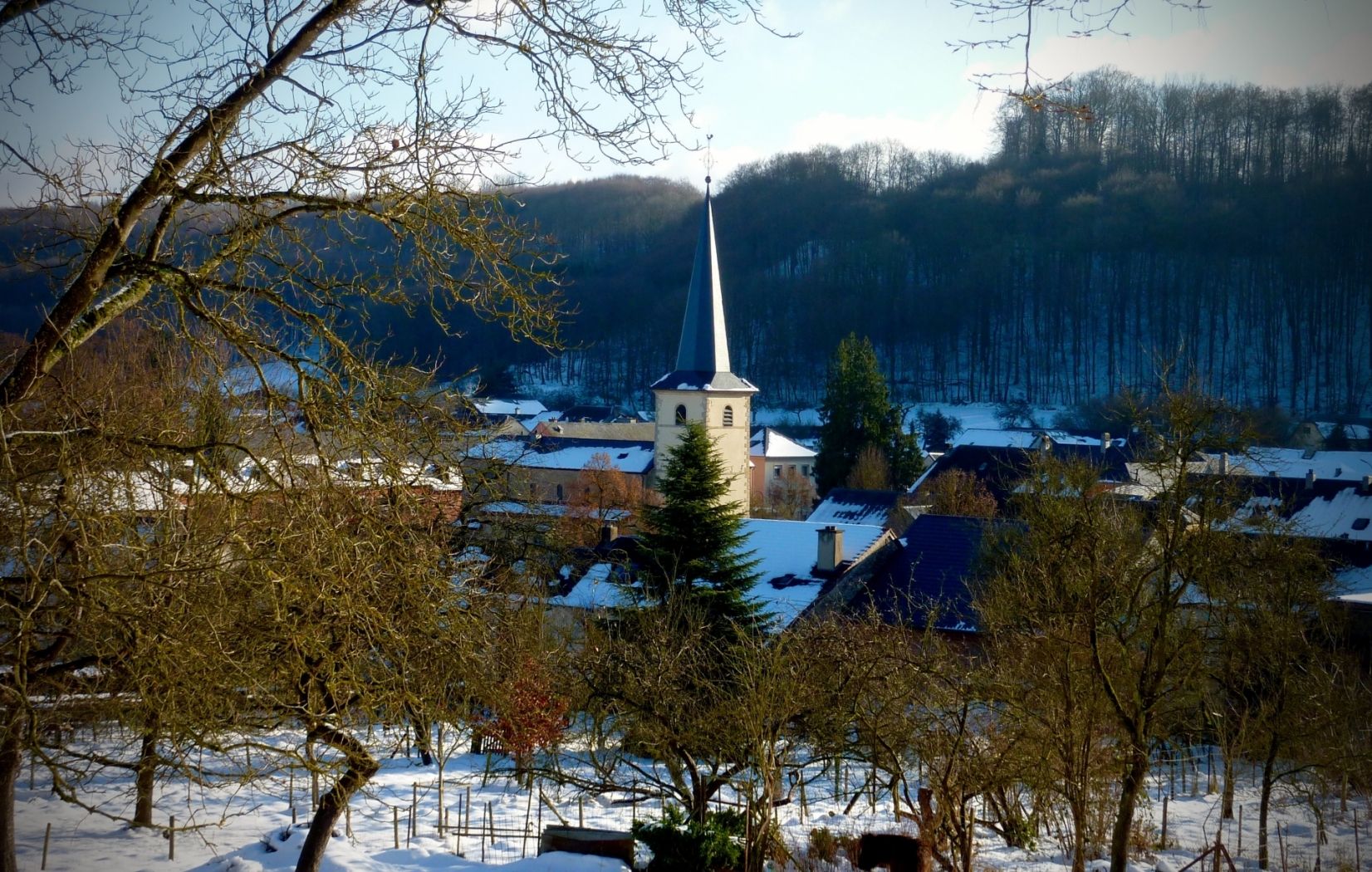 Saeul