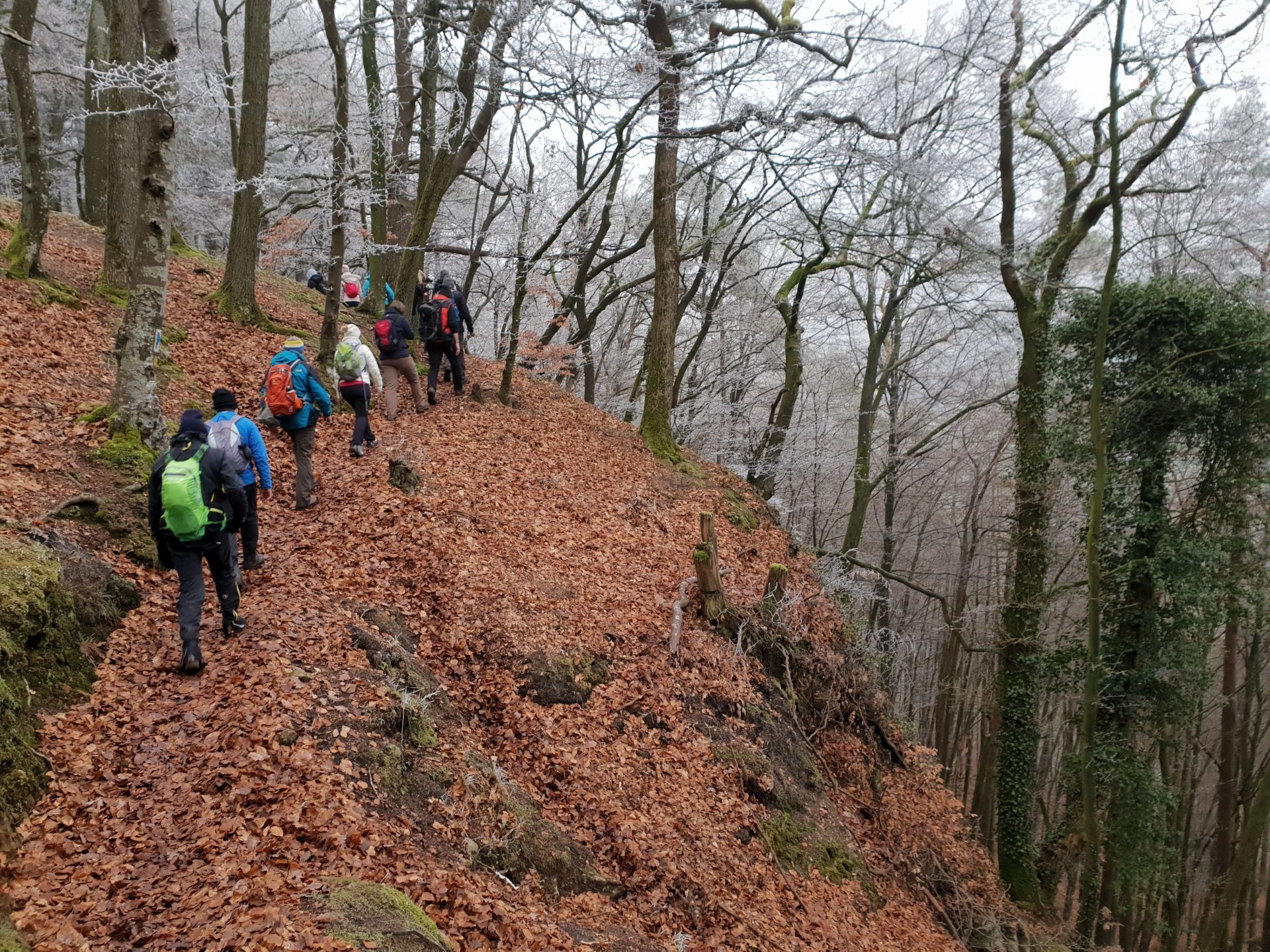 Youth hostels Hiking Winter