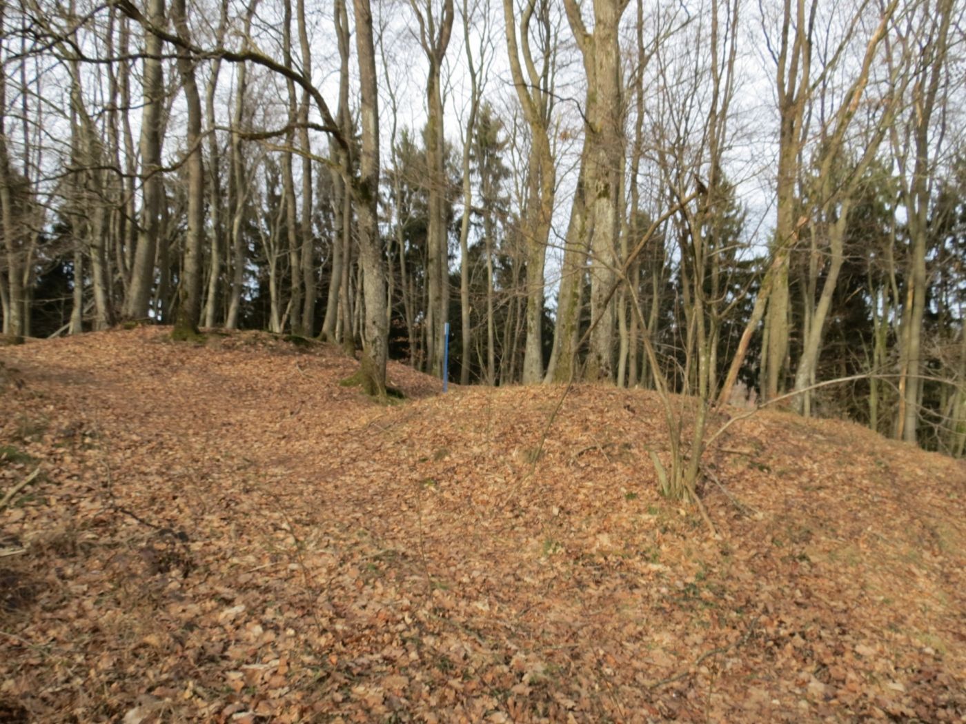 Telpeschholz