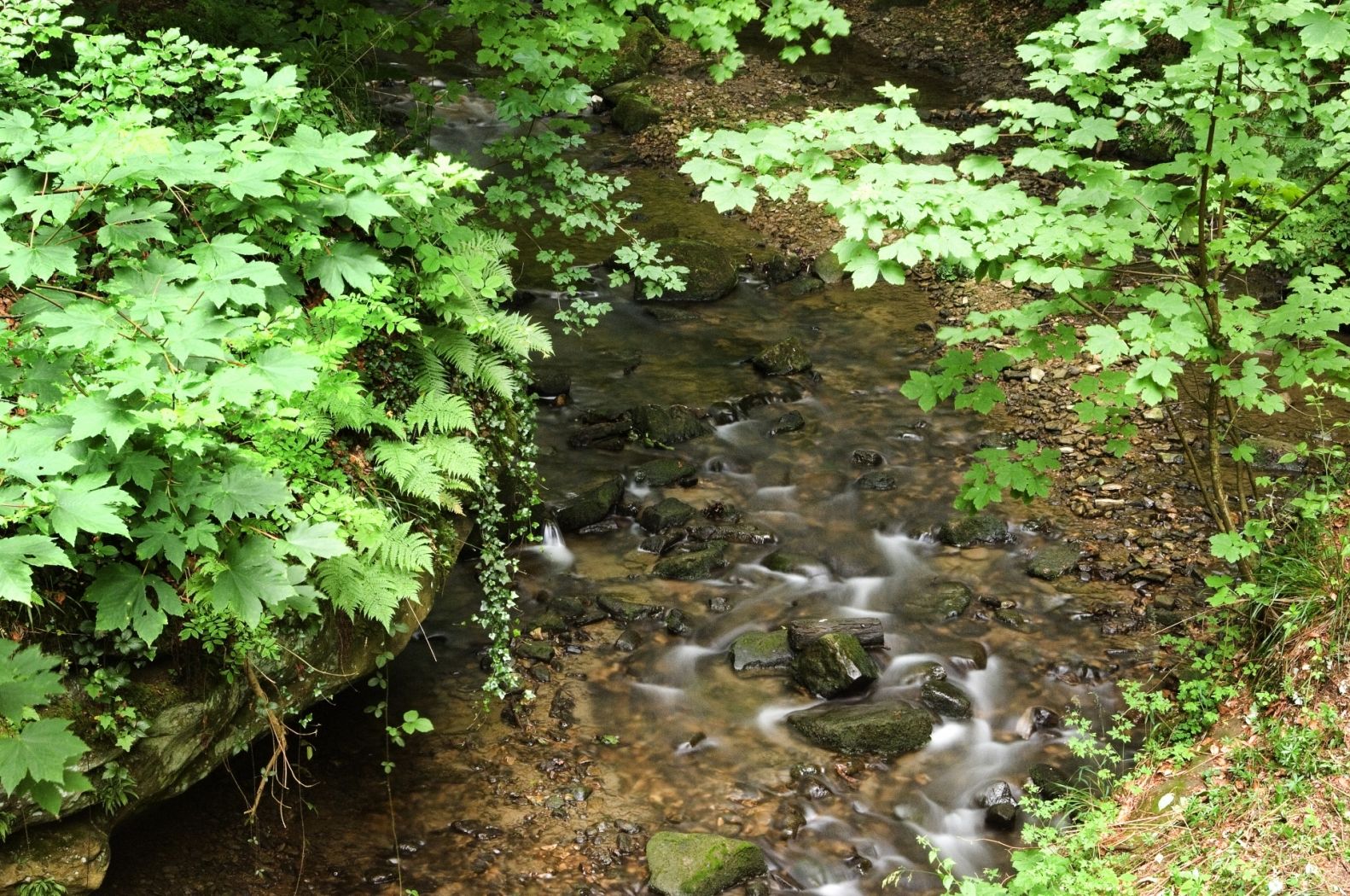 Mullerthal