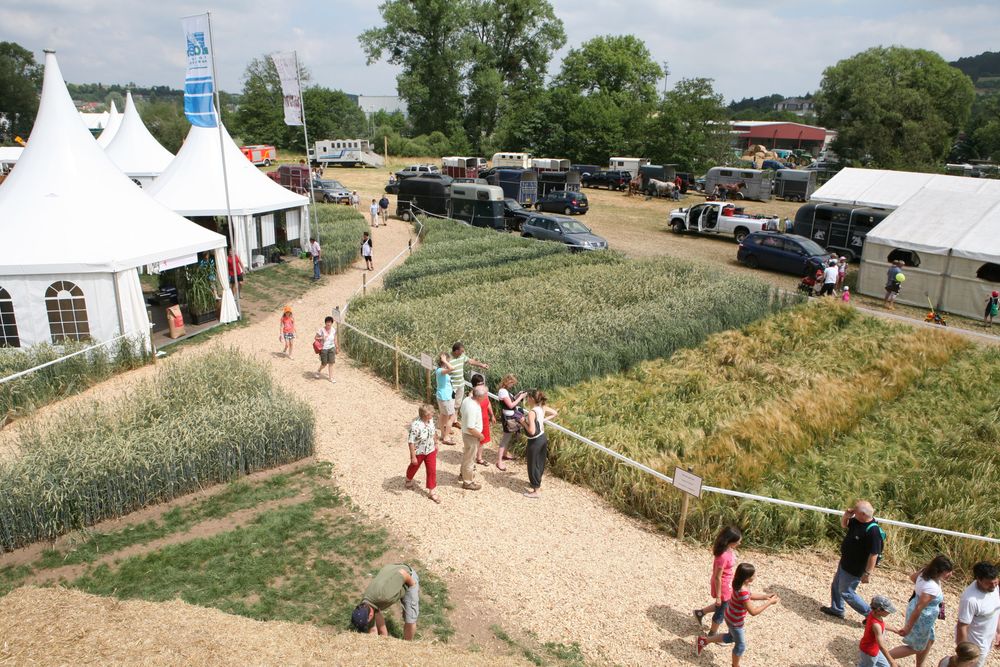 Foire Agricole Ettelbrück