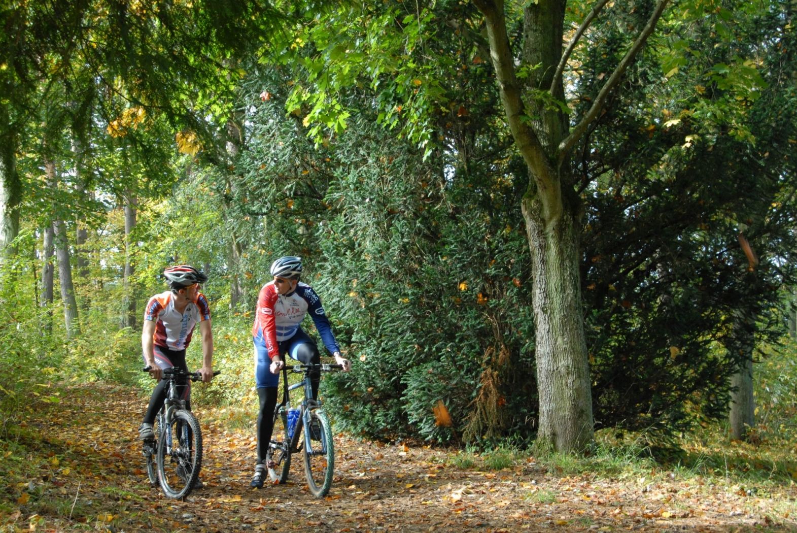 Mullerthal Mountainbike