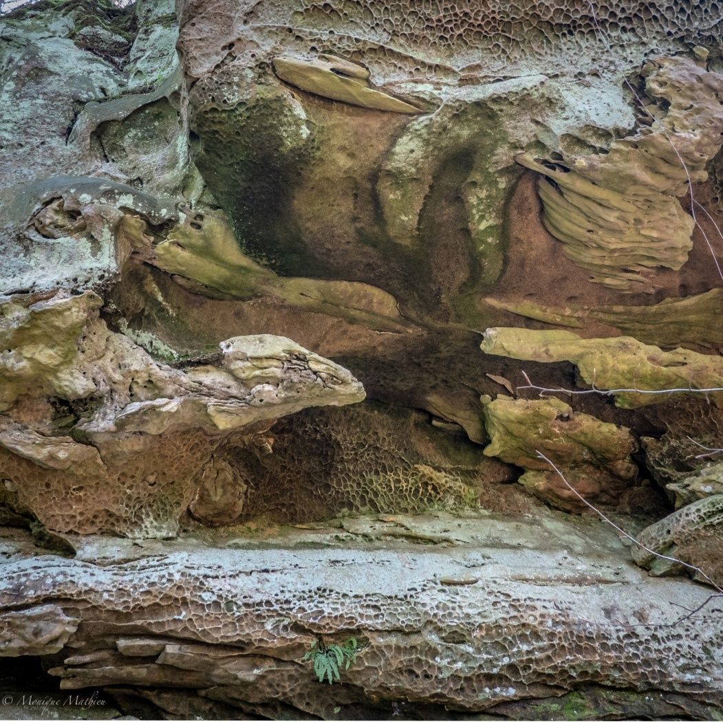 20190417 son00877 hdr