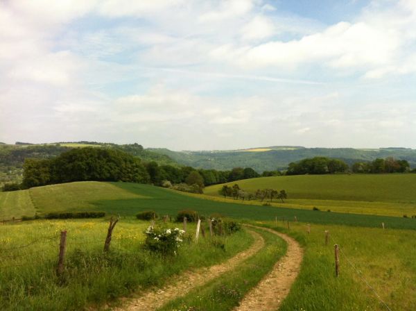 Wandern auf dem Mullerthal Trail Route 1