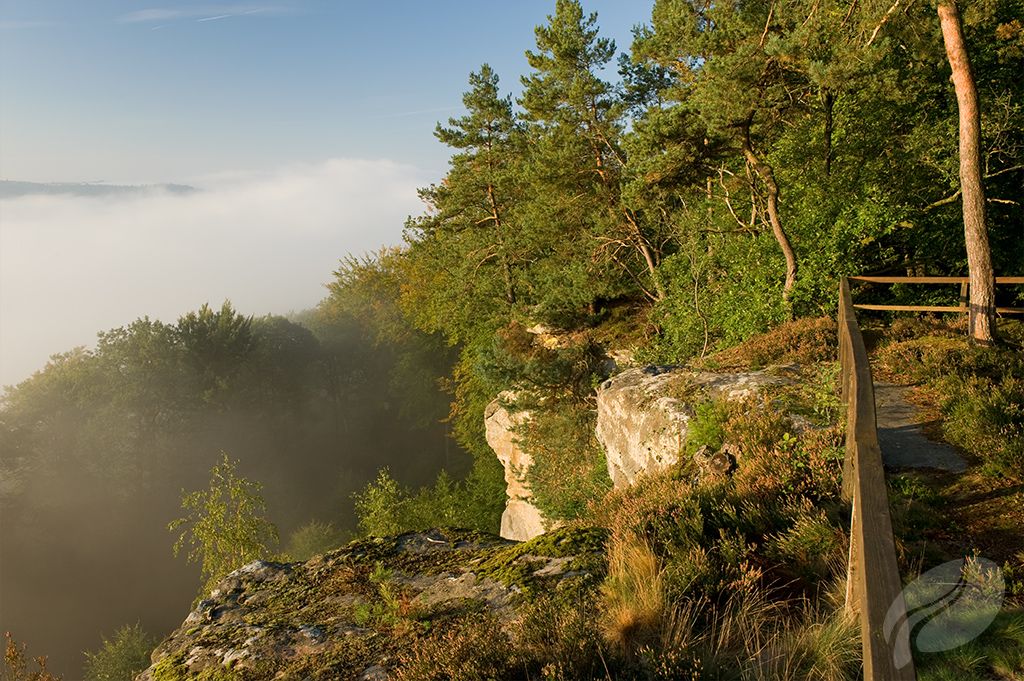 Blick in den Nebel des Sauertals