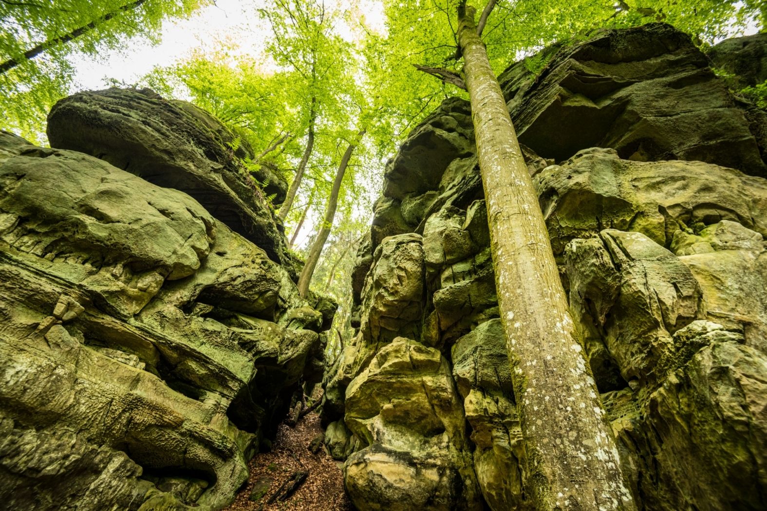 Felsenweg 3 Wollefsschlucht