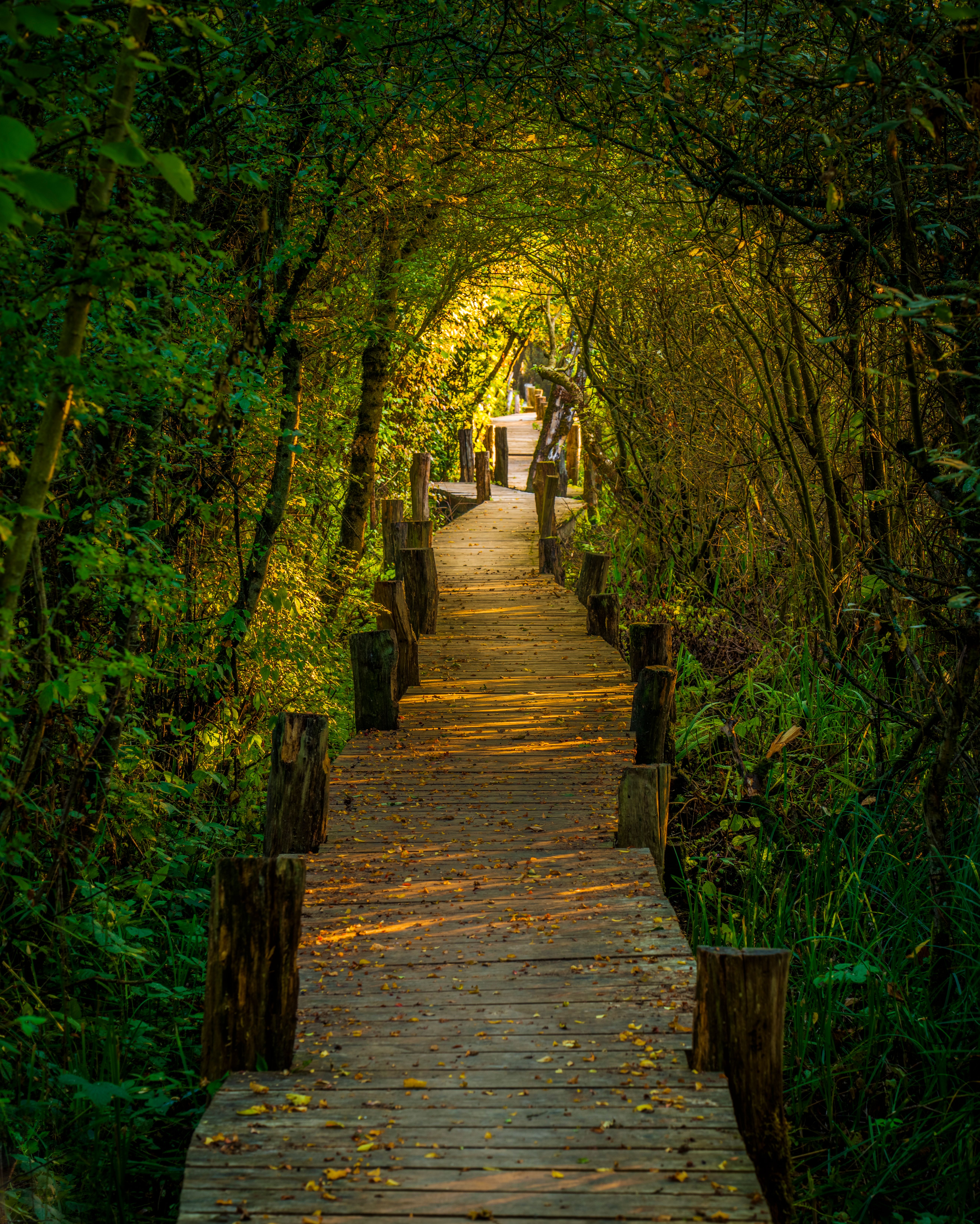 NatureReserveSchlammwiss_Guttland_2©LFT_AlfonsoSalgueiro