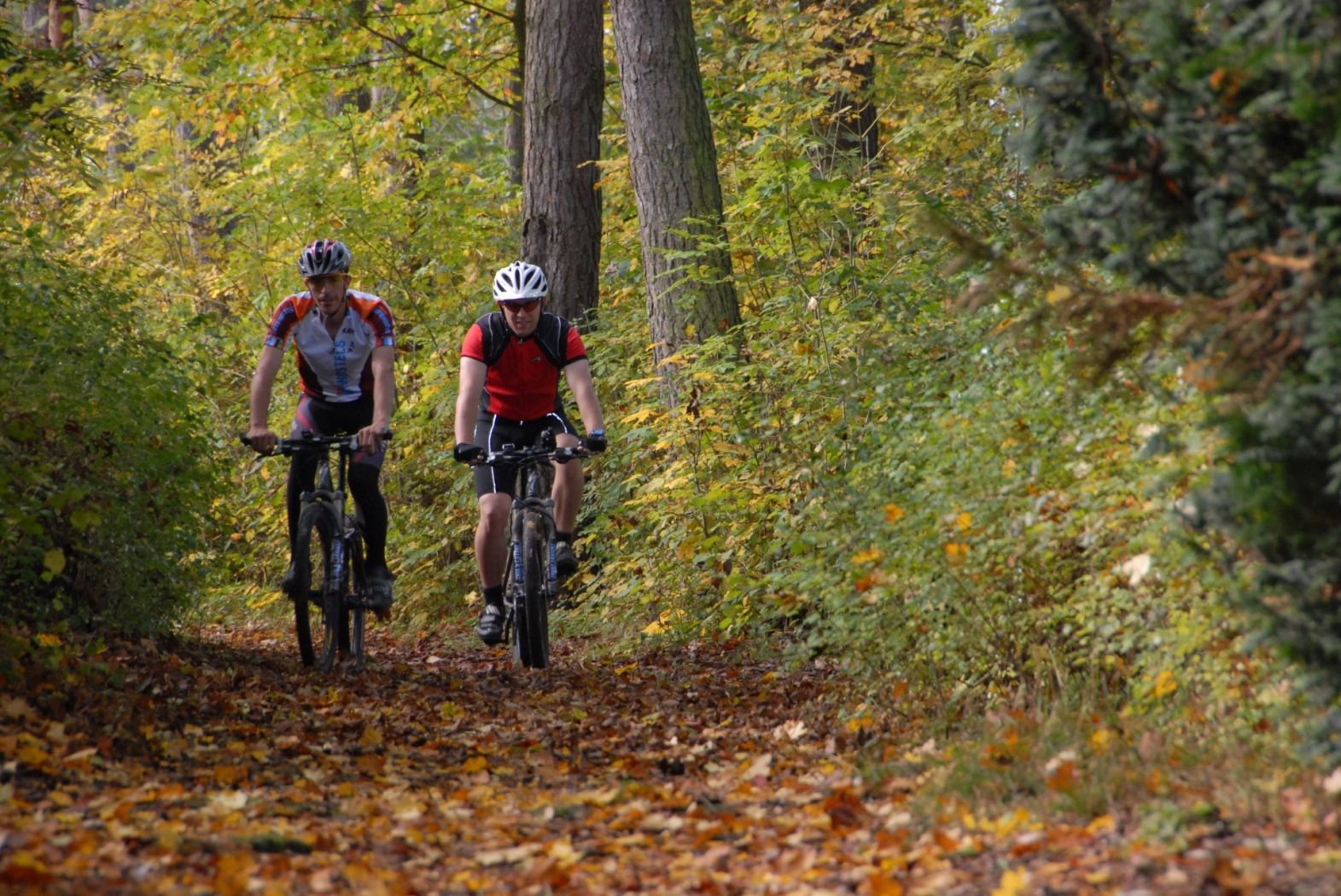 Mullerthal Mountainbike
