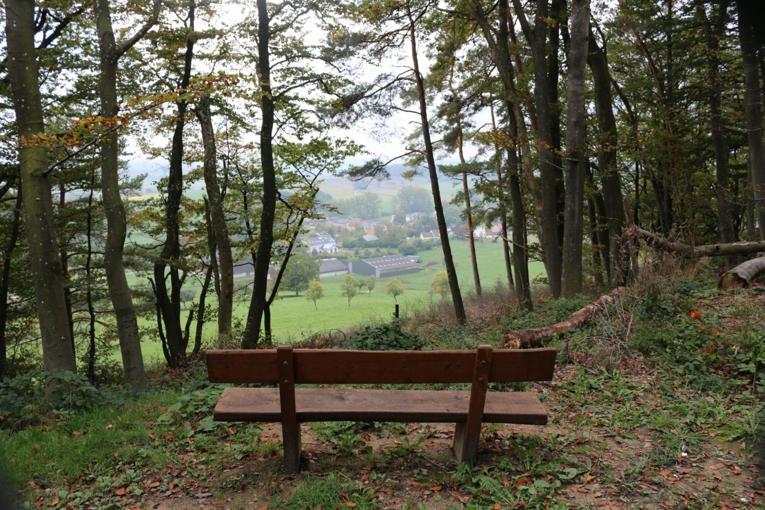 berbourg 11
