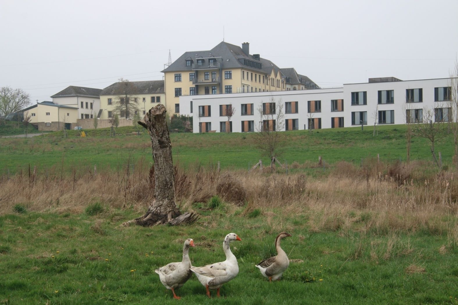 berbourg a