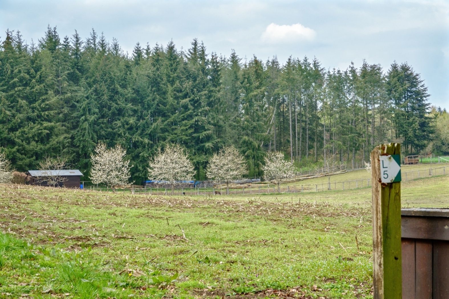 20190417 son00852 hdr 1