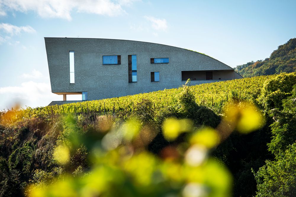 Domaine Henri Ruppert