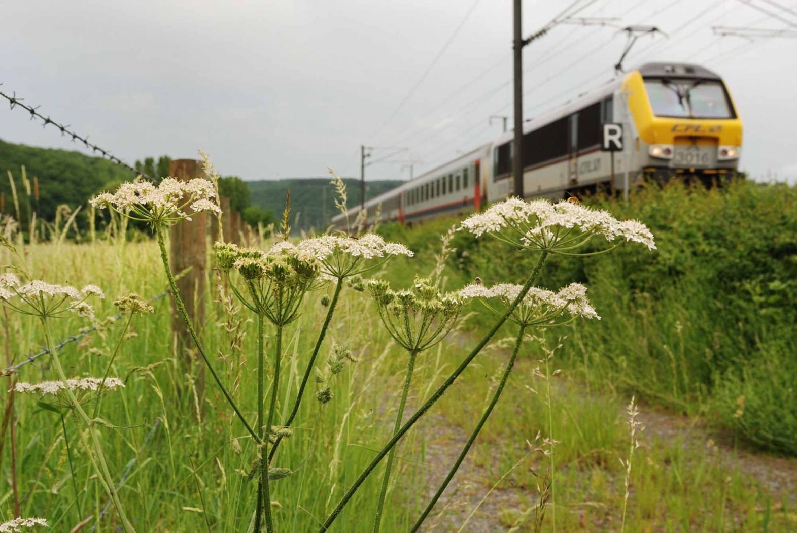 24 Bahnhof zu Bahnhof Belvaux-Soleuvre - Belval-Université