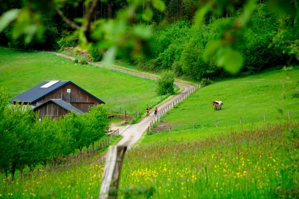 Countryside Guttland cycling