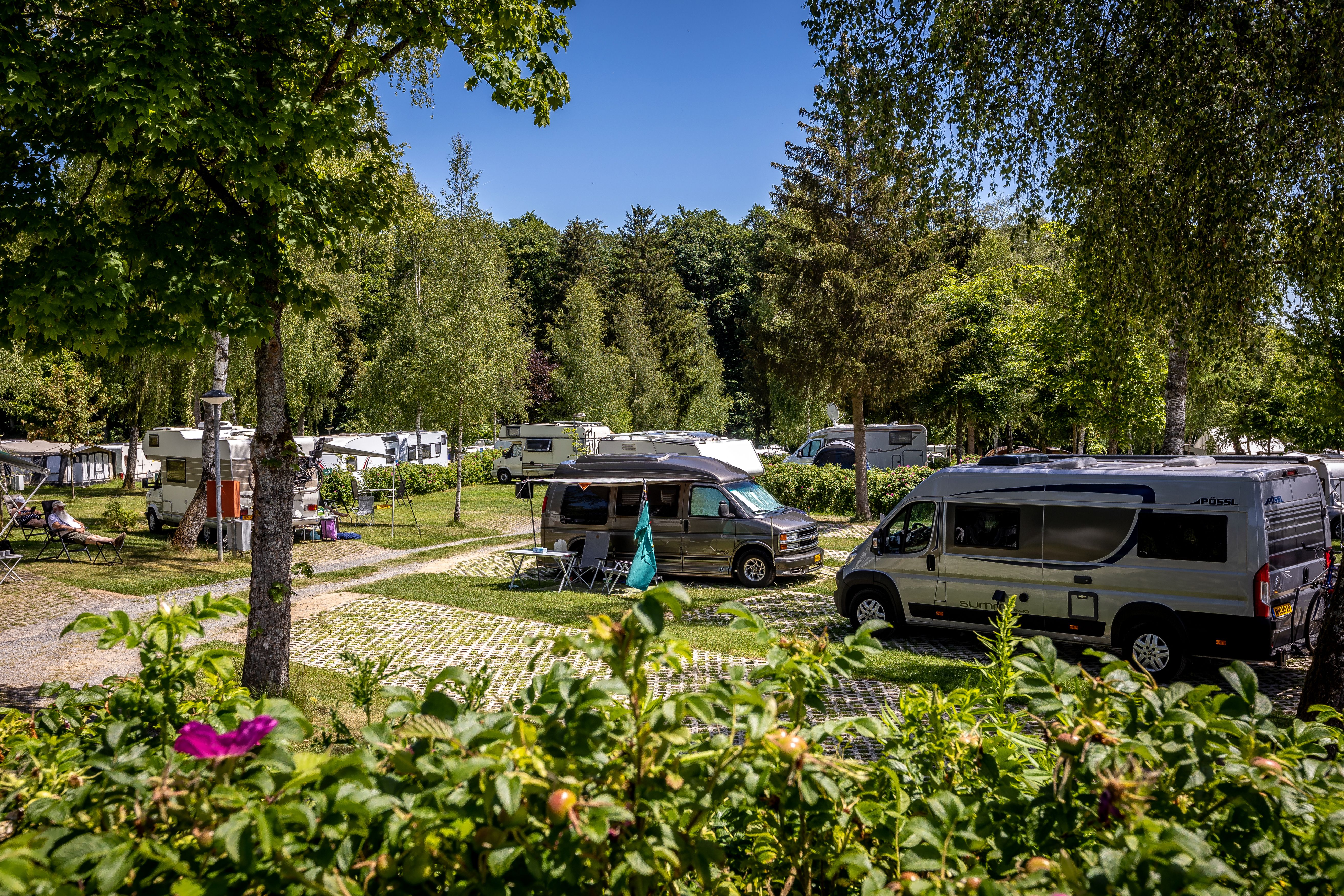 Motorhome Pitches Auf Kengert Larochette