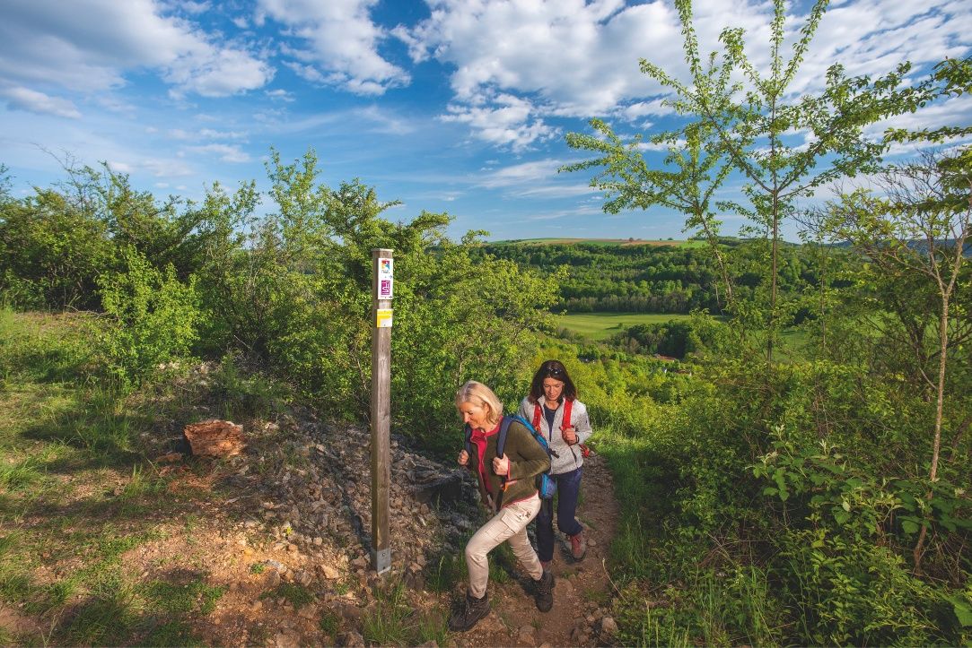 Moselle³-Trail