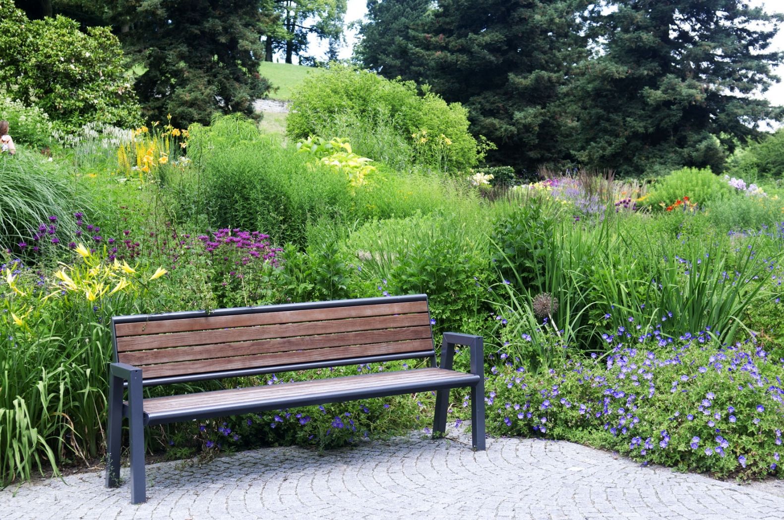 Luxembourg-Kirchberg Arboretum