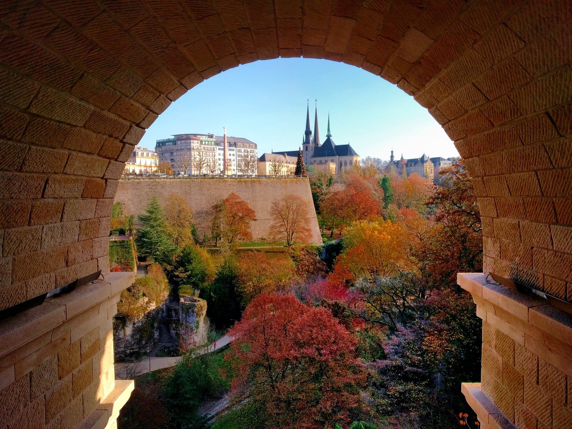 Adolphe Brücke