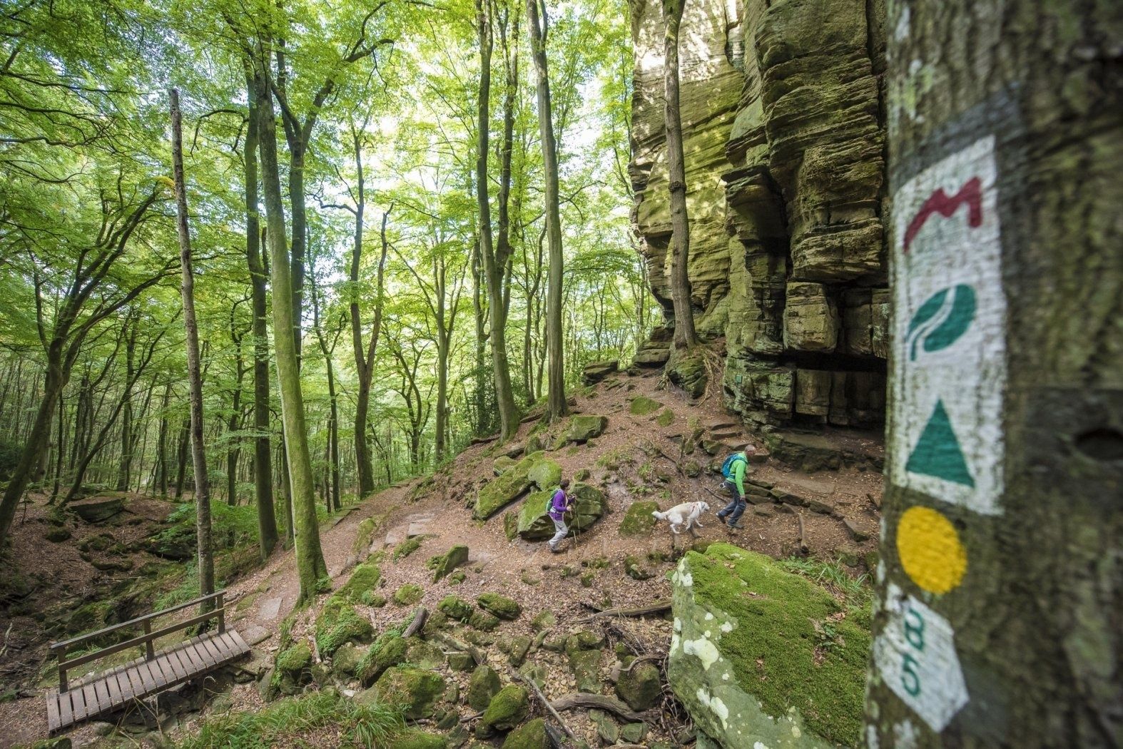 mullerthal trail pulsa pictures