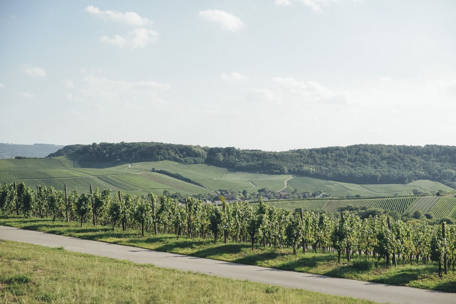 Aussichtspunkt Scheierbierg