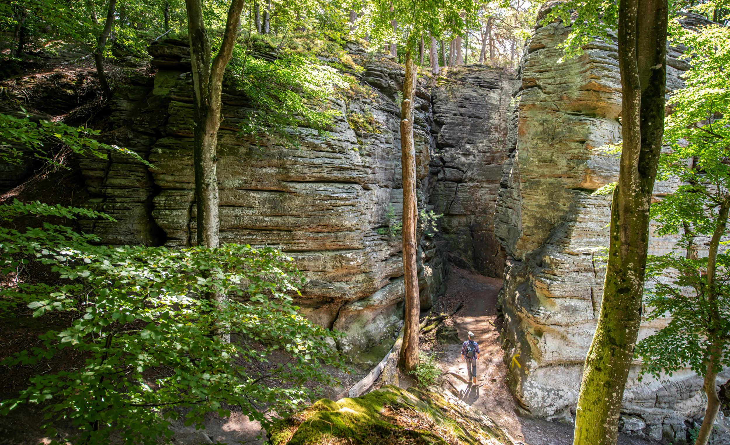 Mullerthal Trail