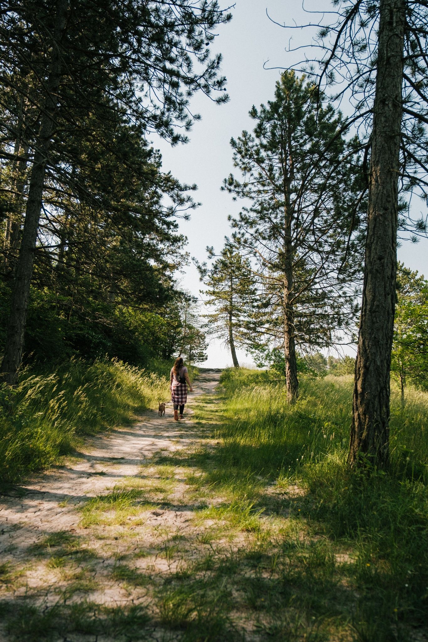 Guttland.Trail Aarnescht