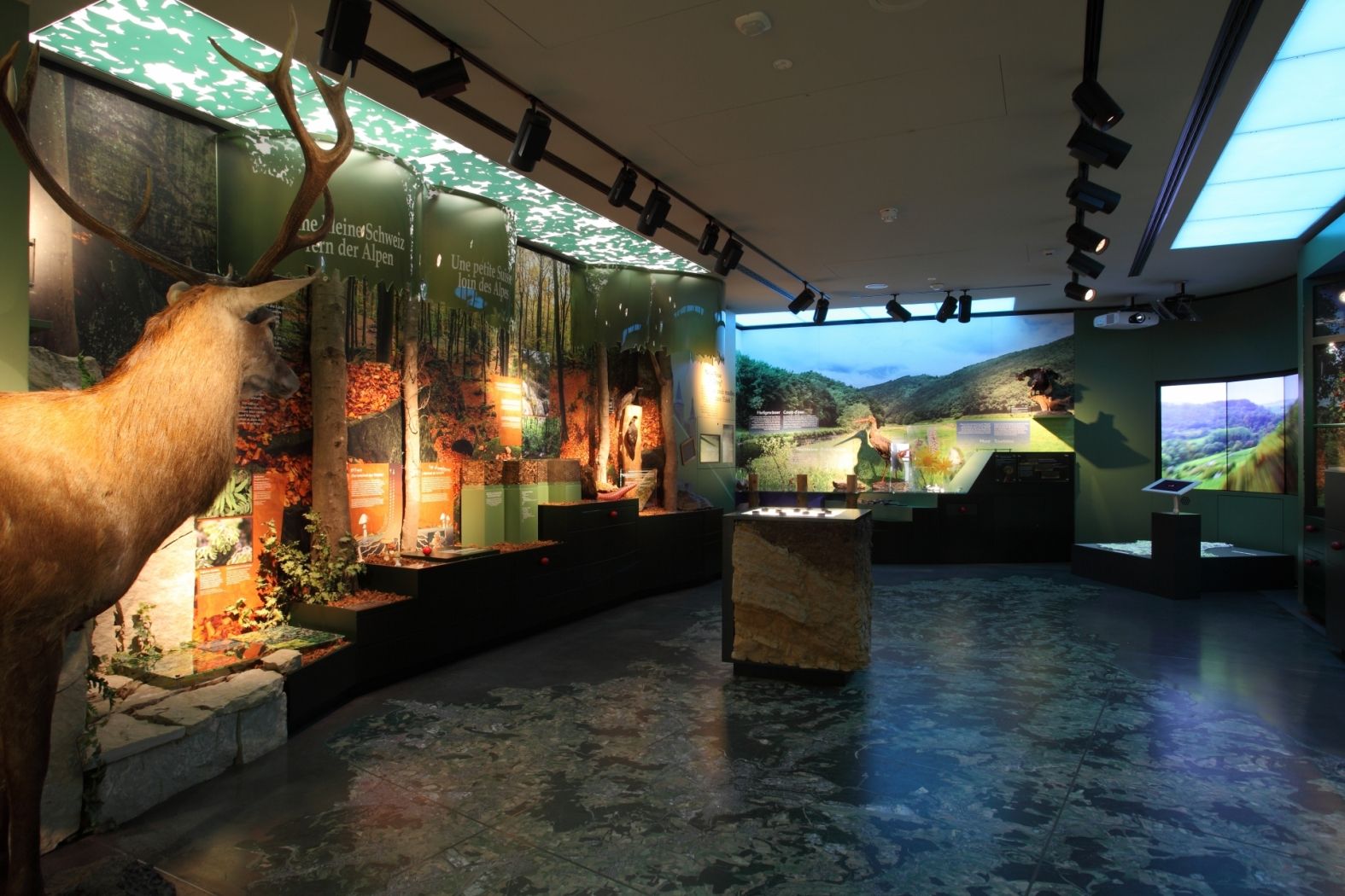 natur musée