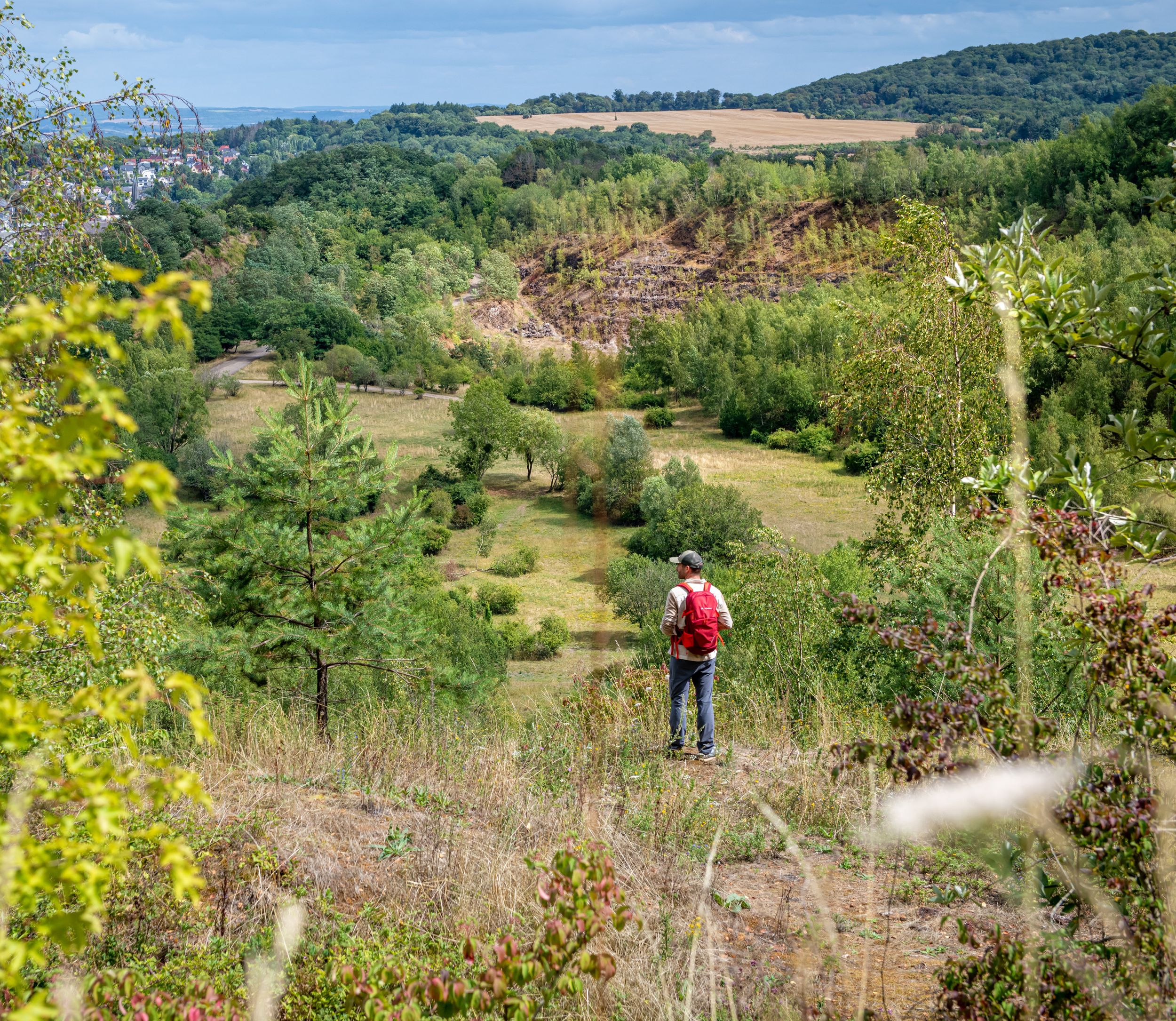 Réserve naturelle Haard Hesselsbierg Staebierg