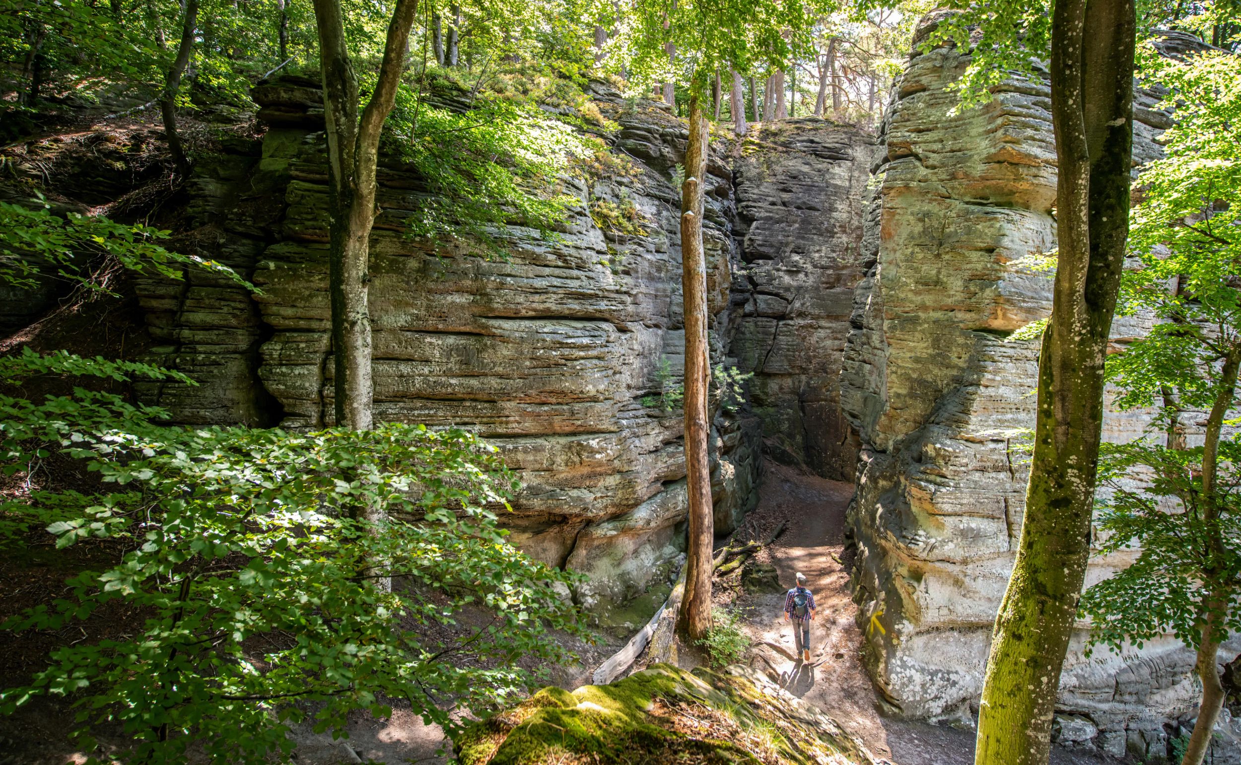 Mullerthal Trail