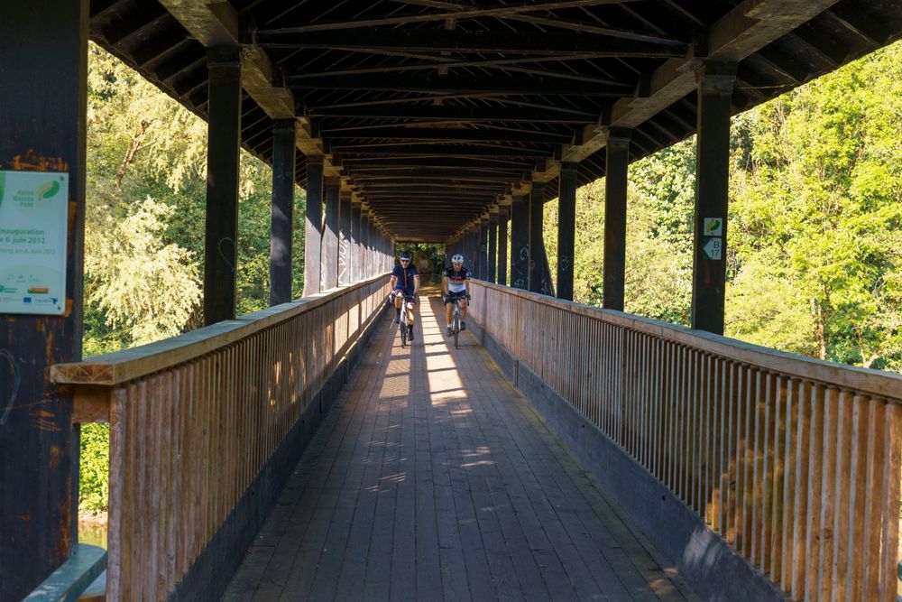 Pont Alfred-Töpfer