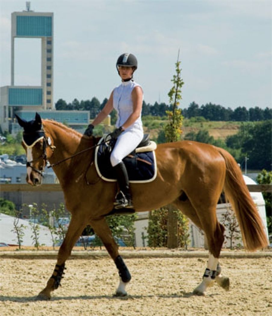 Reitsport Leudelange