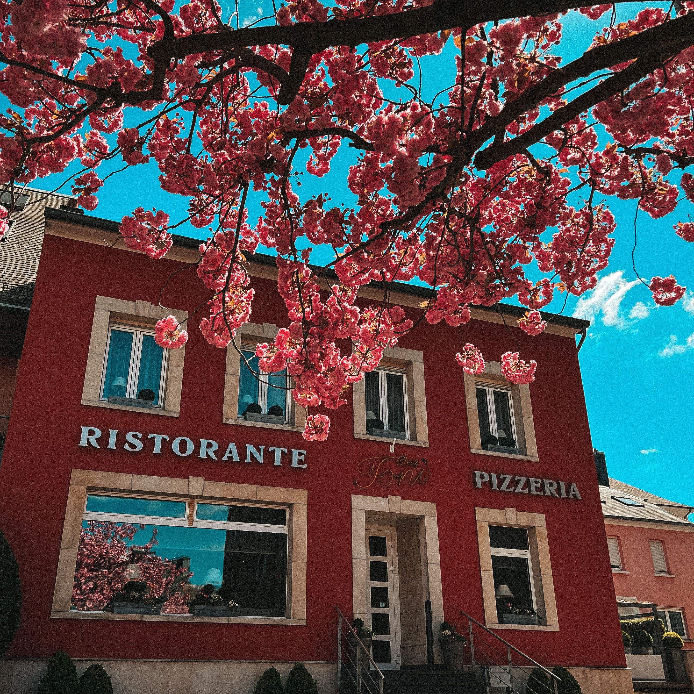 Ristorante Pizzeria Chez Toni