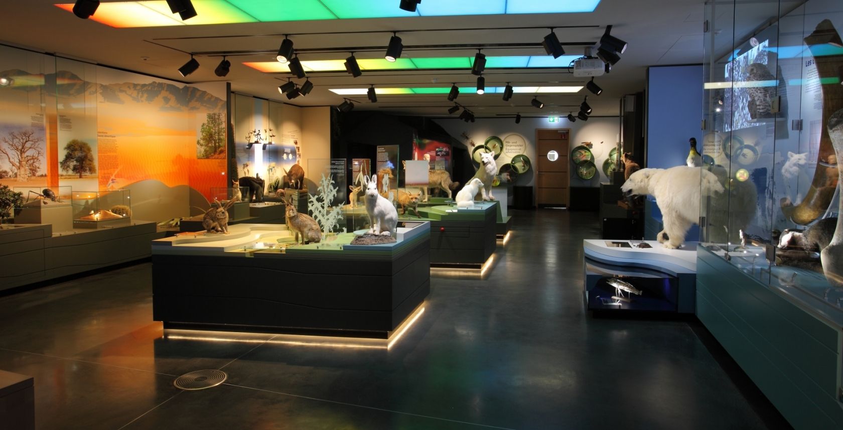 natur musée