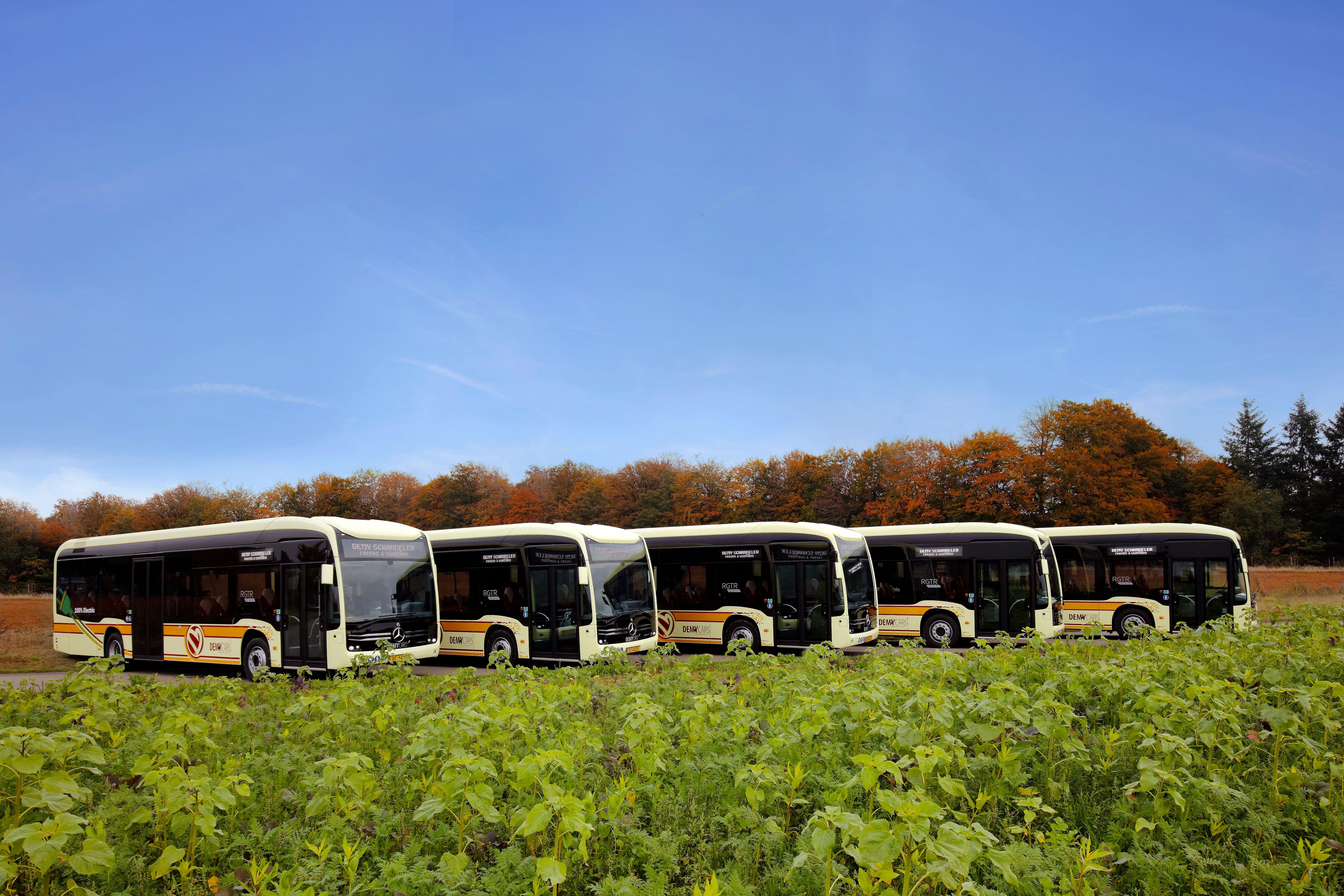 Flotte bus de ligne - Demy Schandeler
