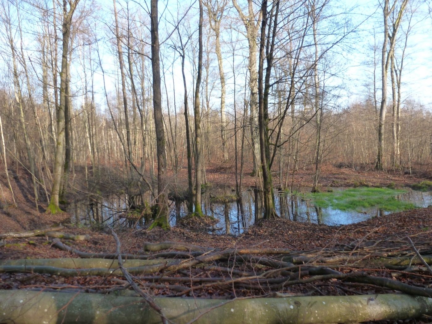 wormeldange a