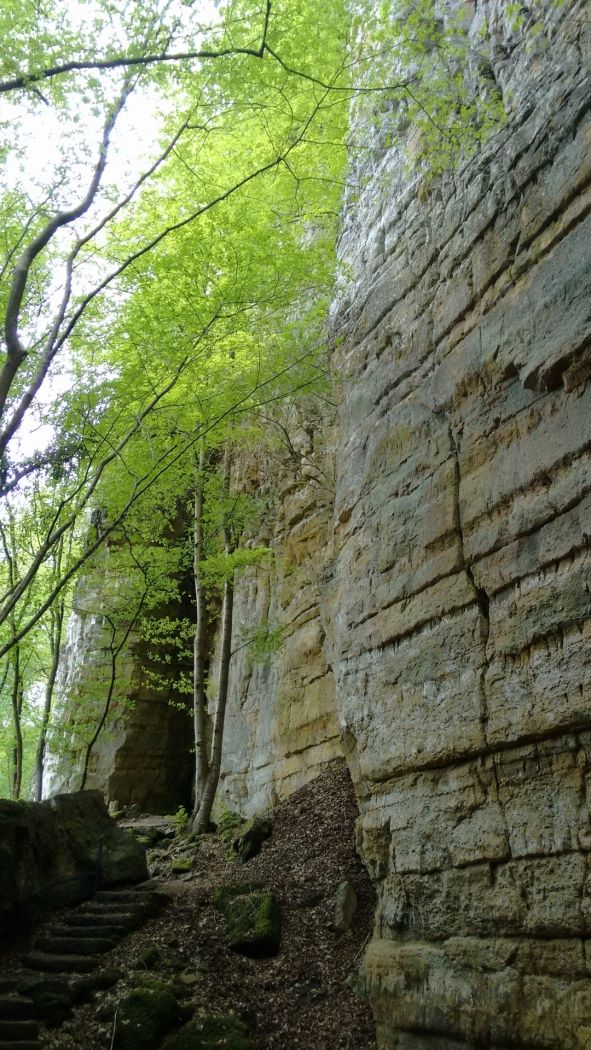 Rock formation - Wollefsschlucht