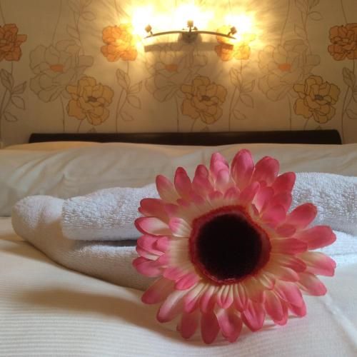 Bed without Breakfast du Chateau - No Breakfast No Meals