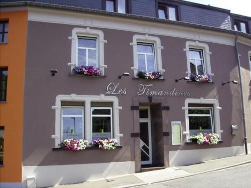 Les Timandines
