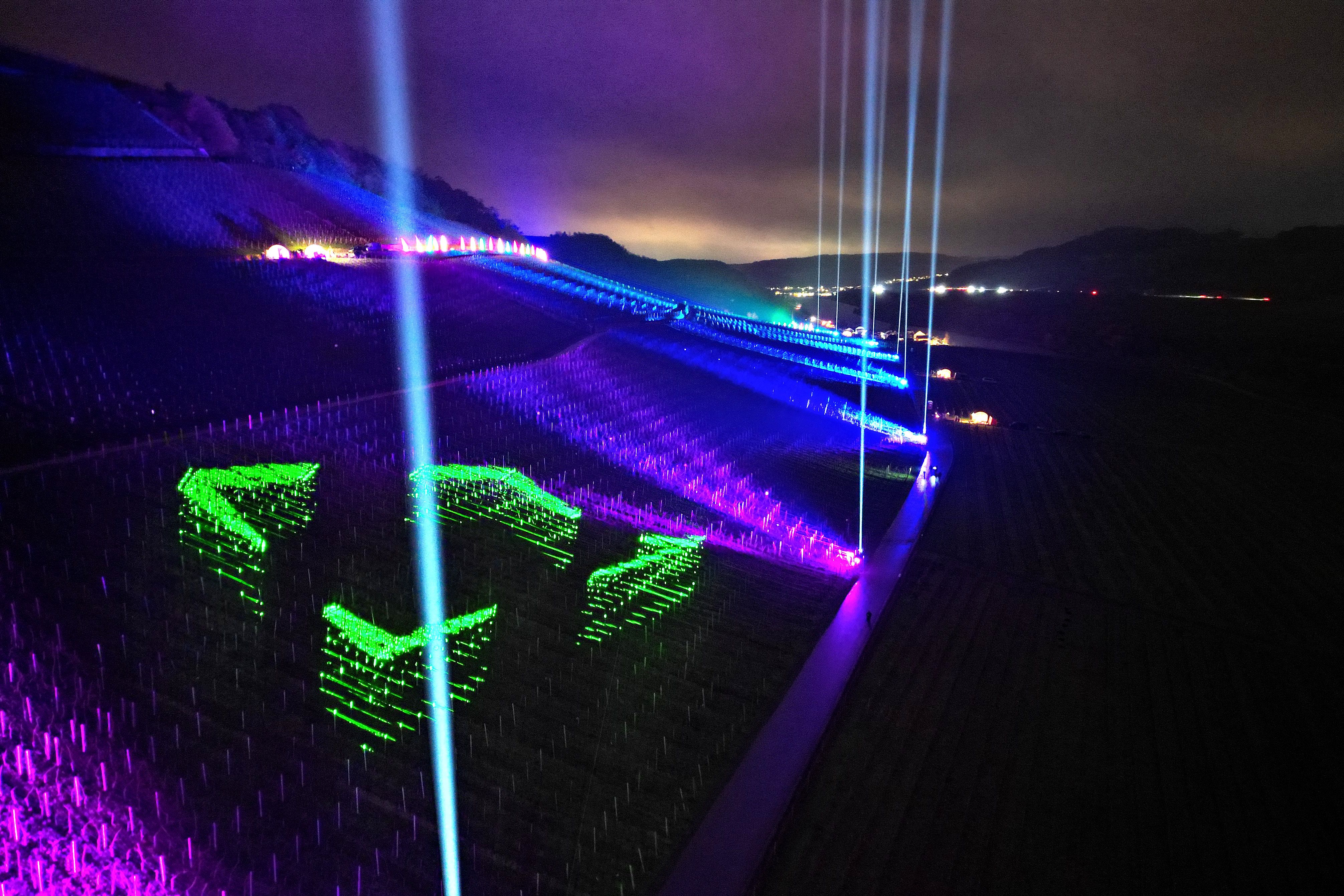 Wine Lights Enjoy 2022